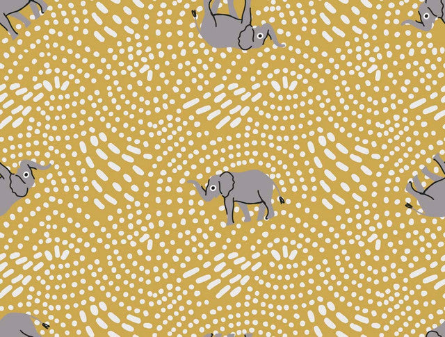 BAOBAB 4 10X8