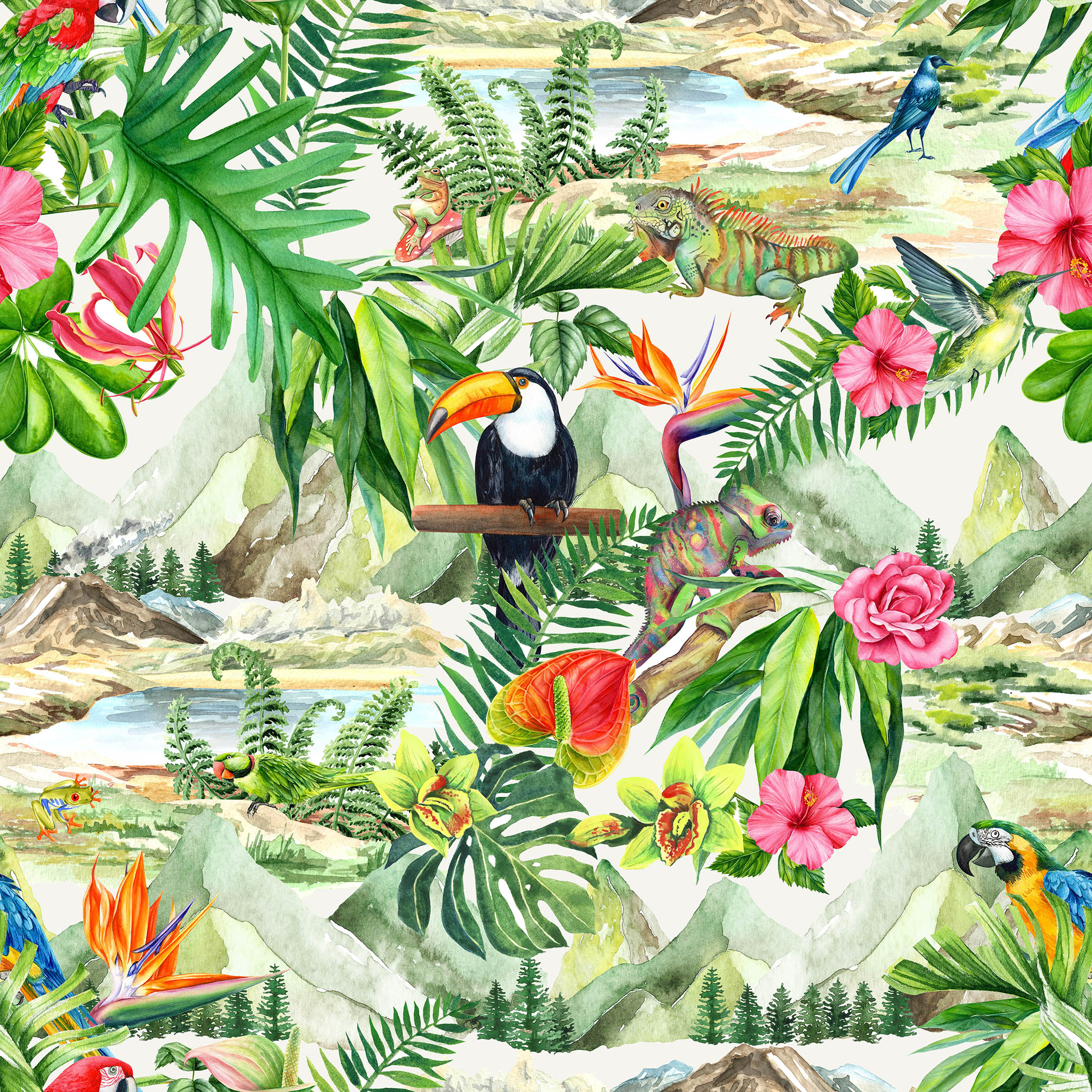 MAMEY 1 55X55