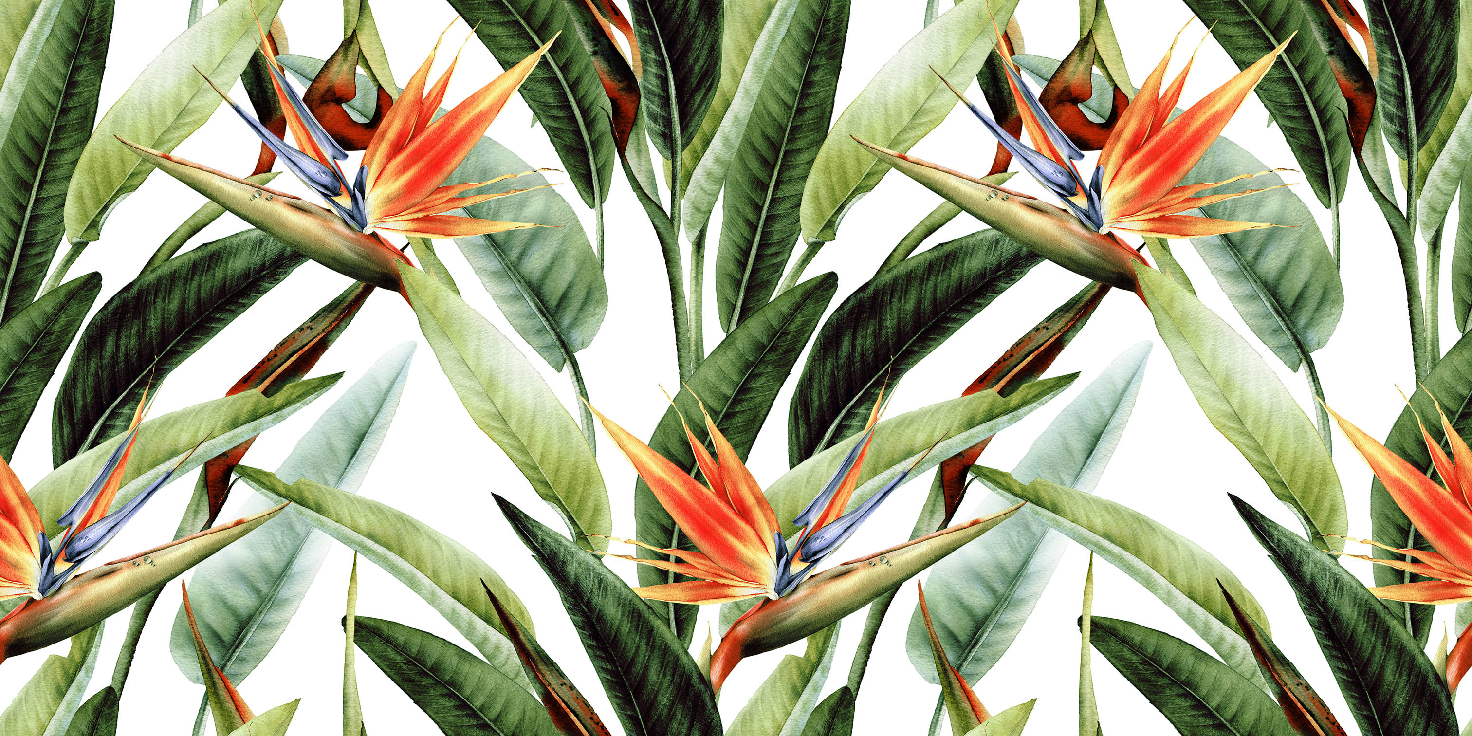 MAMEY 10 80X40