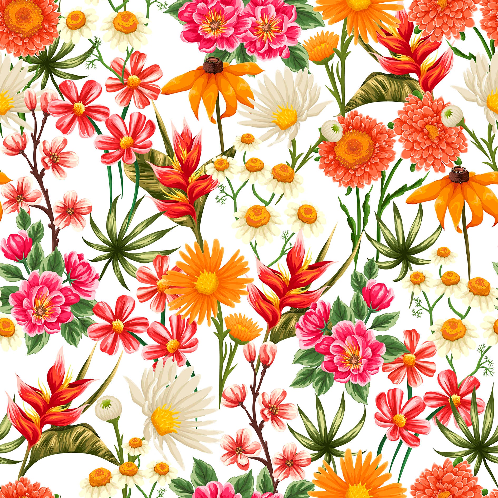 MAMEY 18 50X50