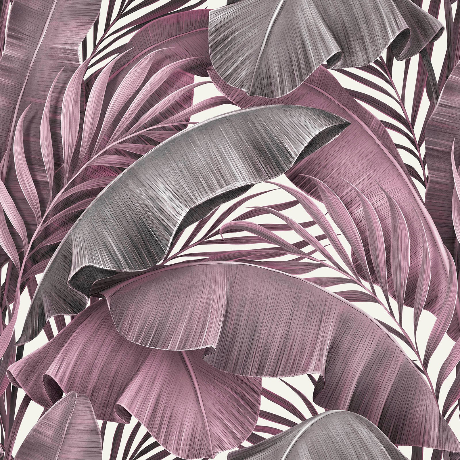 MAMEY 31 42X42