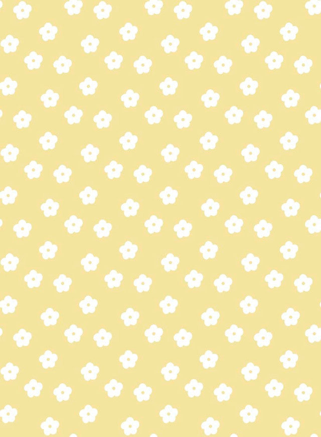 TULA 16 SOLEIL XS