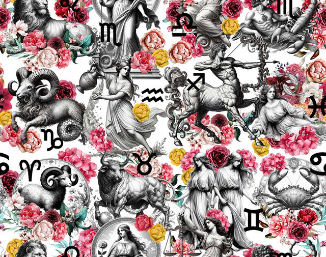 ZODIACO 125 40X31