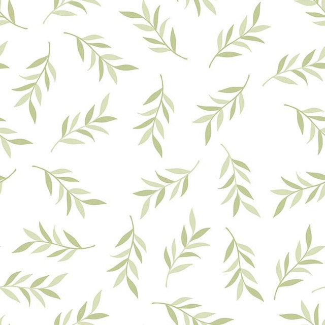 ADELINA 125-3 6X6