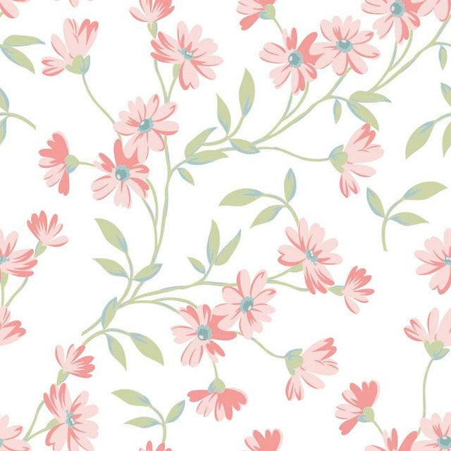 ADELINA 125-4 6X6