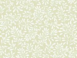 ADELINA 125-7 10X7