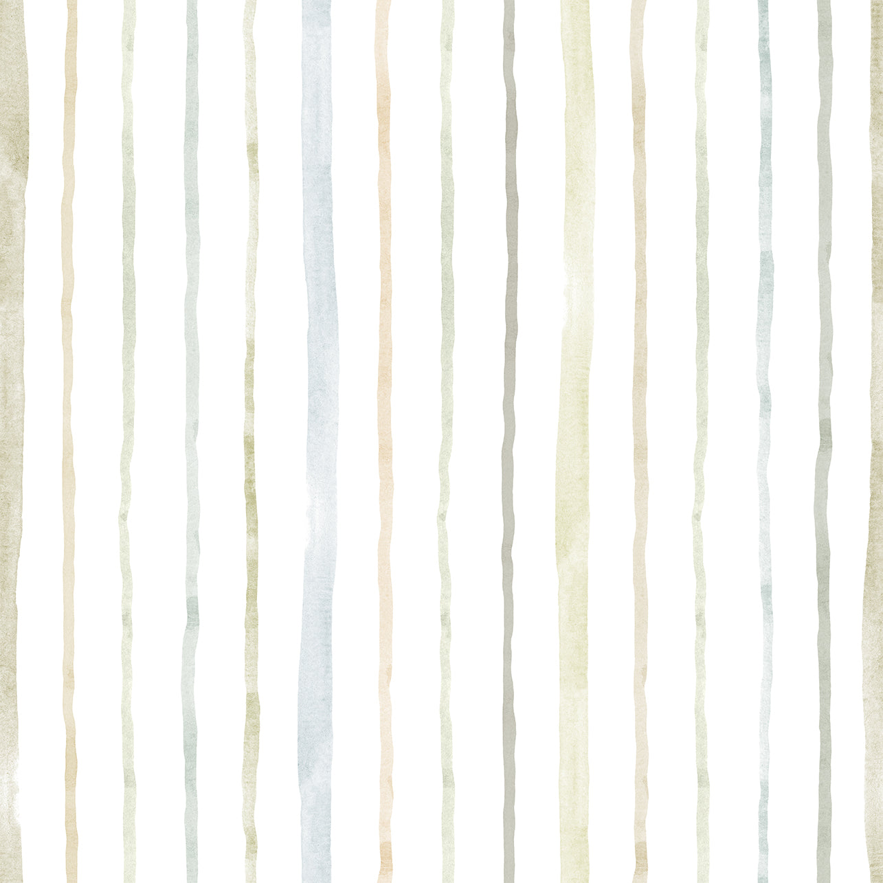 ALAIA 3 34X34