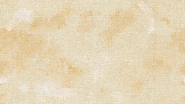 ALIA TAUPE 924 9 20X11