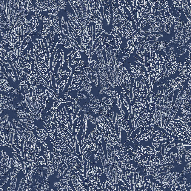 ALIZ BLEU MARINE B