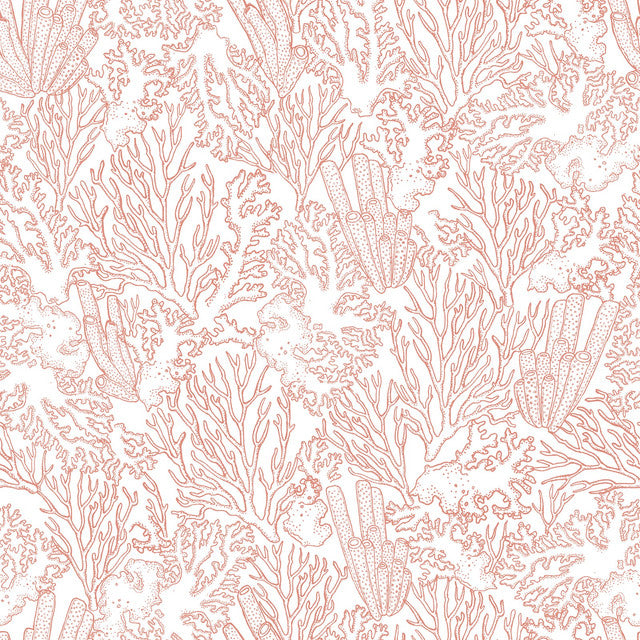 ALIZ CORAIL A