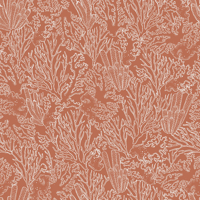 ALIZ TILE B