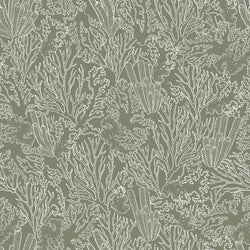 ALIZ DARK GREEN B
