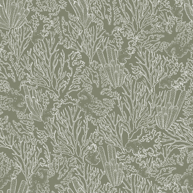 ALIZ VERDE OSCURO B