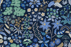 ALOID 1 60X40