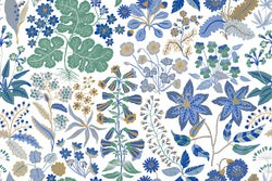 ALOID 2 60X40