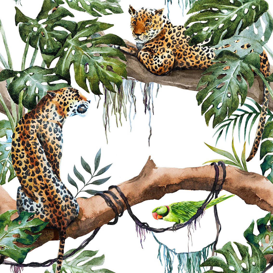 ANIMALS 300 100 40X40
