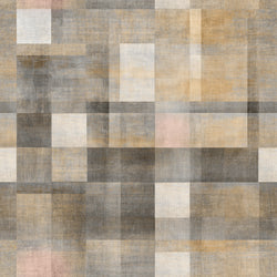 ANIPE 5 50X50