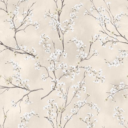 ASAMI BEIGE CLARO 924 1 HIGH  50X50