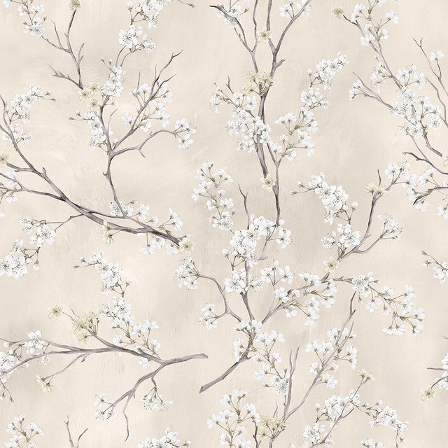 ASAMI BEIGE CLARO 924 2 HIGH  26X26