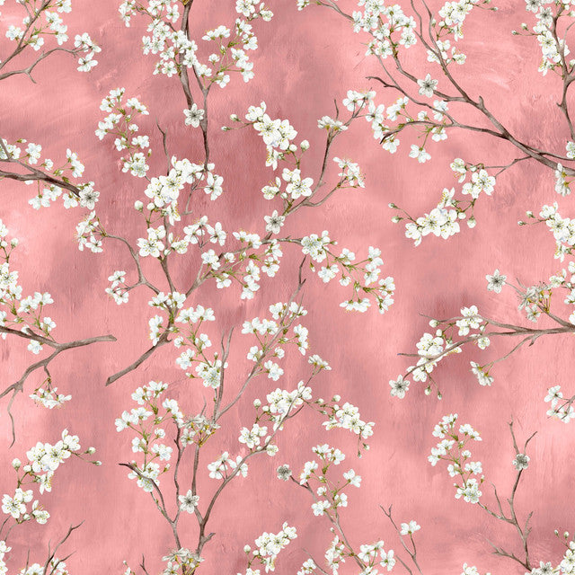 ASAMI ROSA FRESA 125-10 HIGH 34X34