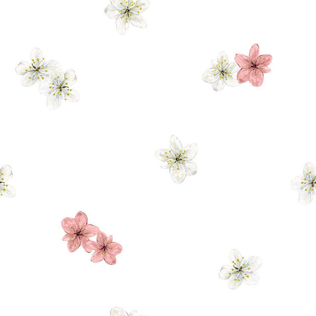 ASAMI ROSA FRESA 125-4 11X11