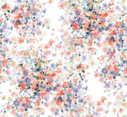 ATIRA 1 50X46