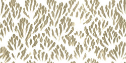 AVIS 125-2 30X15
