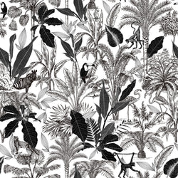 BAMBER 2 50X50