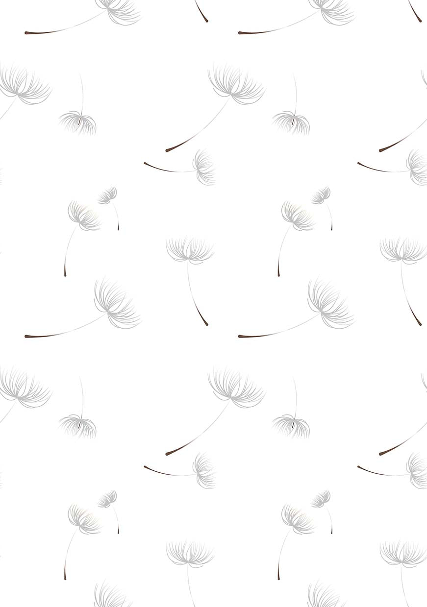 BLANCHE 4