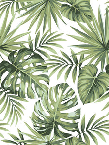 BOTANIC 120 30X40