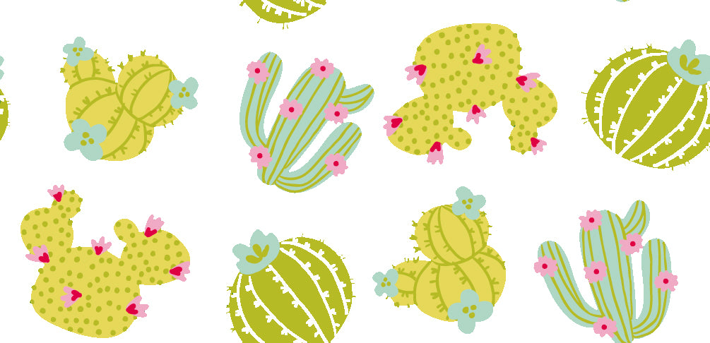 CACTUS4 9X4
