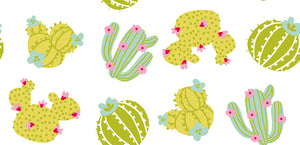 CACTUS 4 9X4
