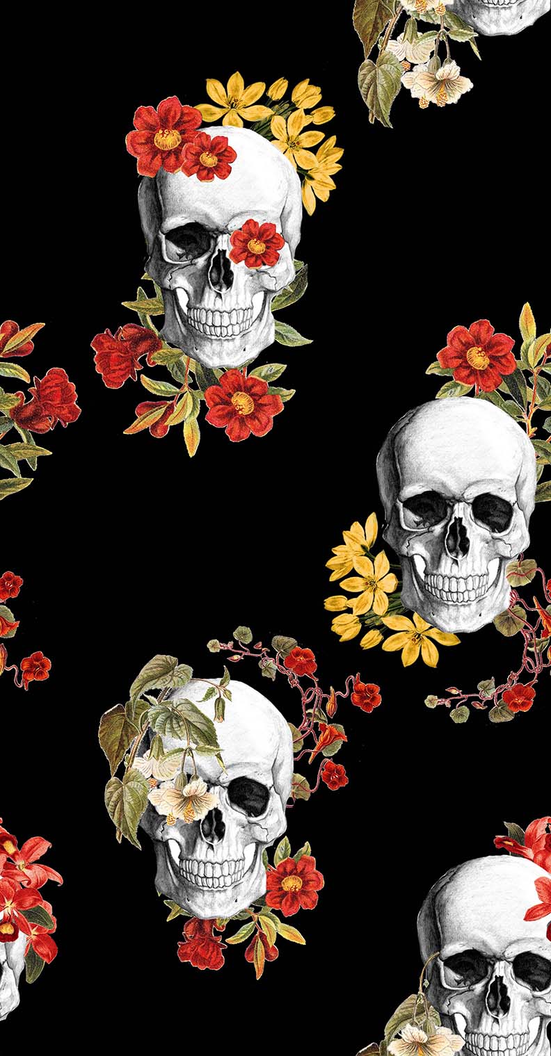 CALAVERAS DARK 21X40