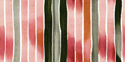 CATALEYA 125-4 30X15