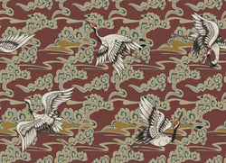 CIXI 2 54X39