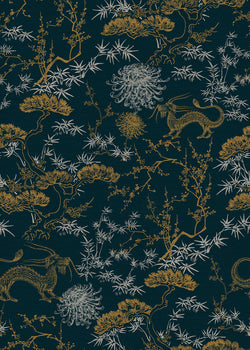 CIXI 5 35X50