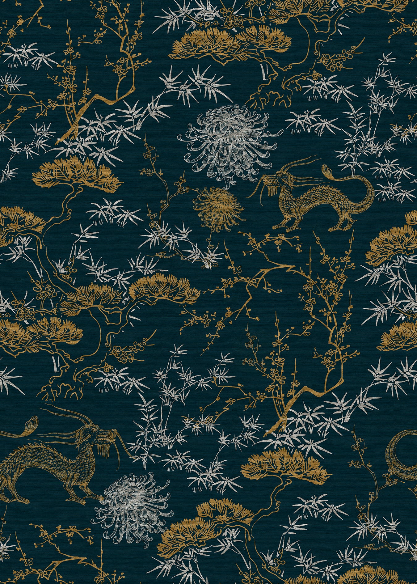 CIXI5 35X50