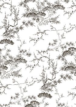 DAINA 2 36X50