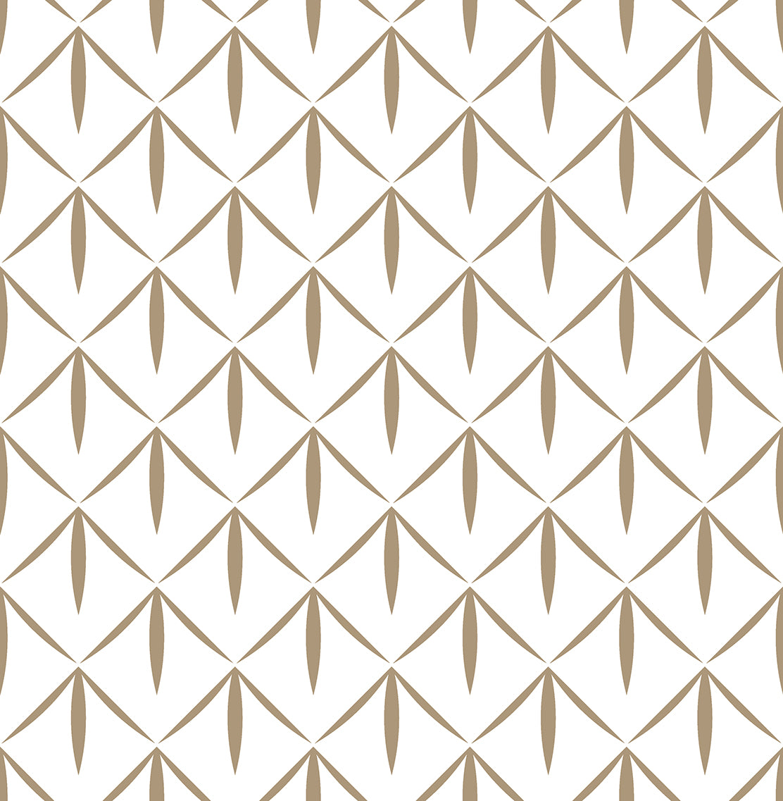 DAINA 3 29X30
