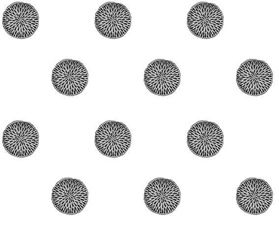 DANDELION N-G 125-6 20x17cm XS 4x3cm