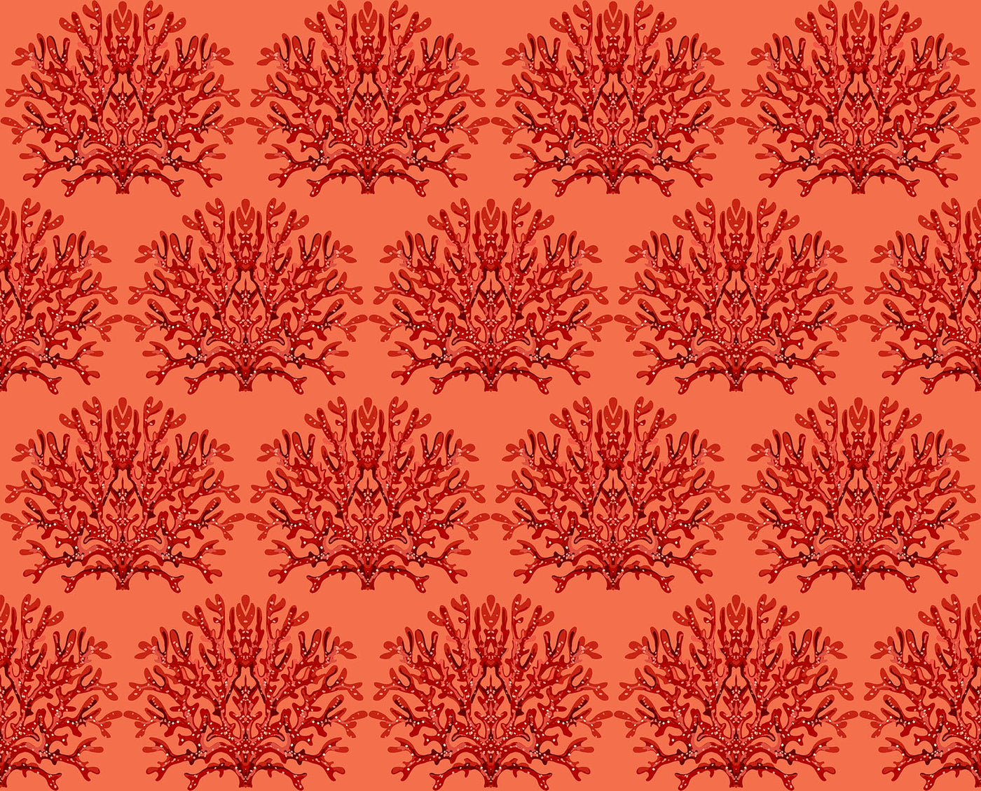 DELMARE 2