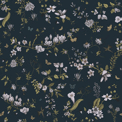 ELIF 1 50X50