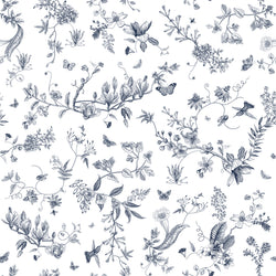ELIF 3 50X50