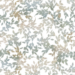ELIXE 4 50X50