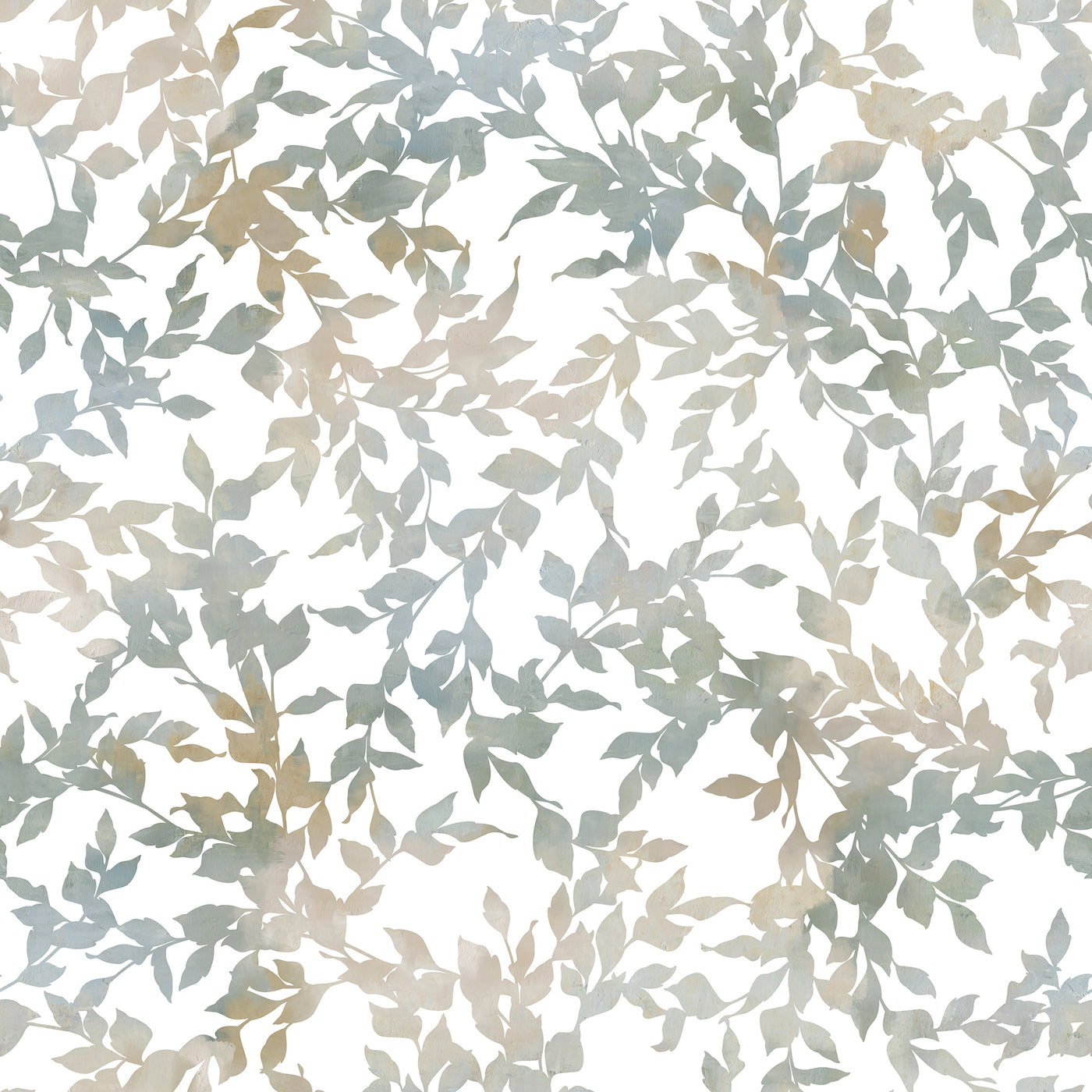 ELIXE 4 50X50