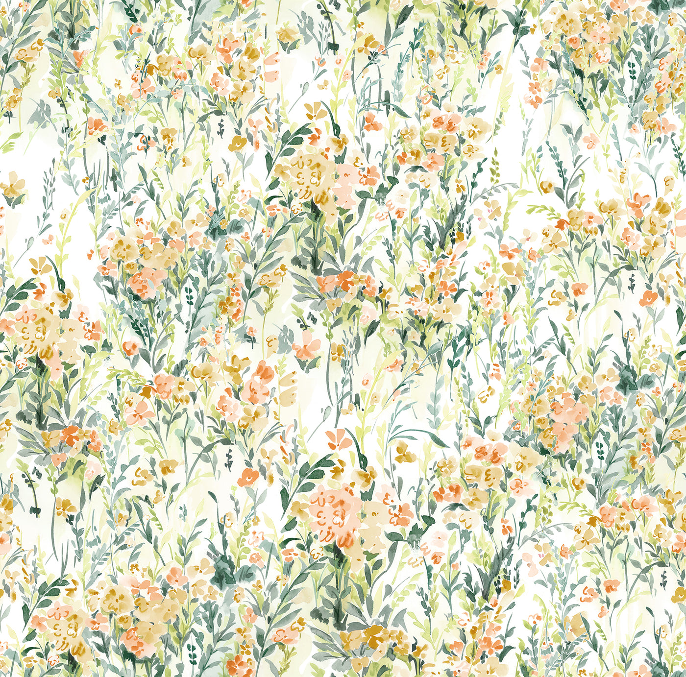 ENARA 1 55X54
