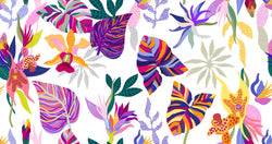 ENYS 1 56X30