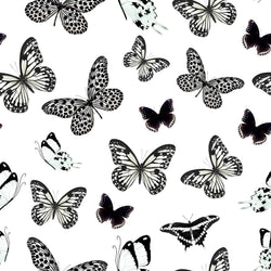 GENOVEVA 124 6 53X53