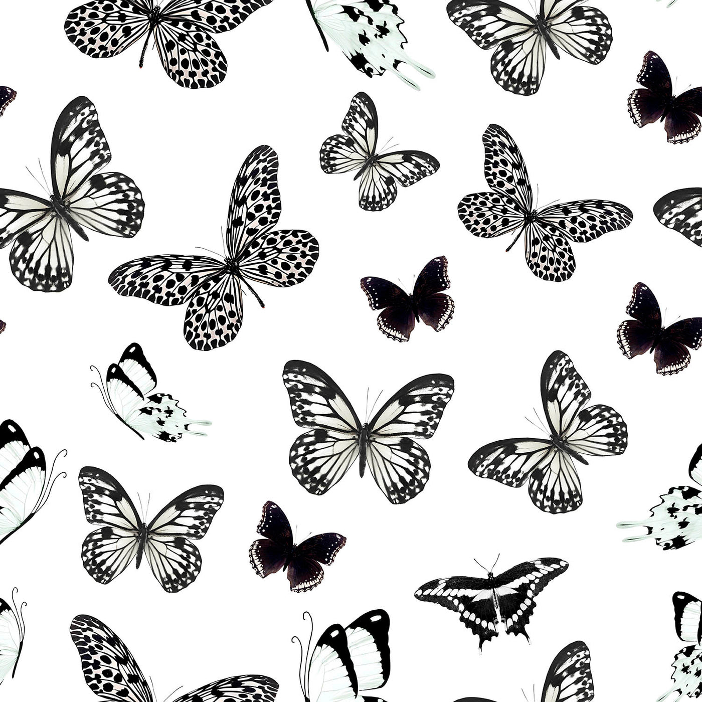 GENOVEVA 124 6 53X53