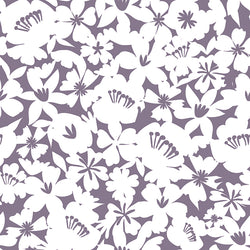 FAIRY 4 20X20